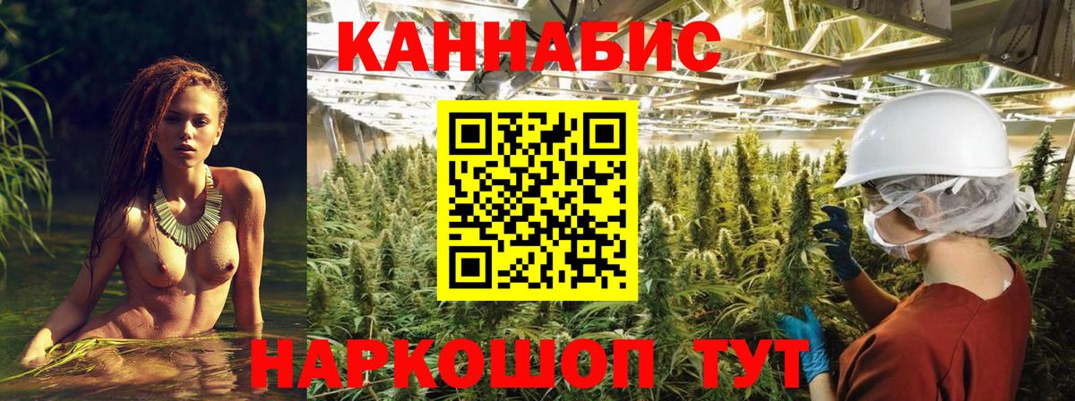 Конопля план  Вход с VPN  Новоалтайск  Каннабис Bruce Banner  Марихуана LSD WEED 